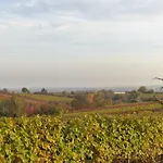 An Der Weinstrasse * Oberotterbach