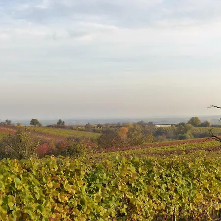 An Der Weinstrasse * Oberotterbach