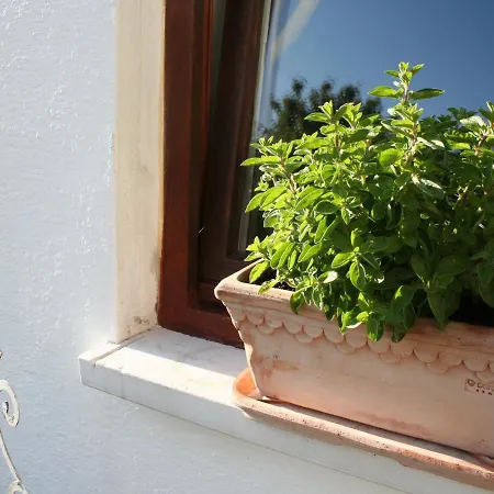 An Der Weinstrasse Apartment Oberotterbach