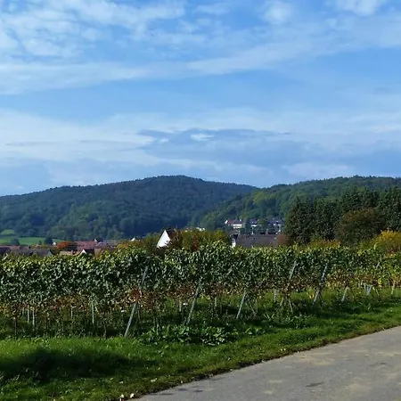 Apartamento An Der Weinstrasse *