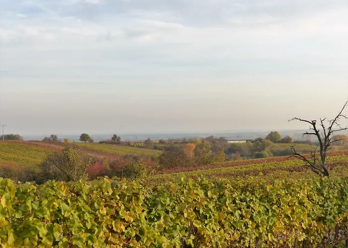 An Der Weinstrasse * Oberotterbach