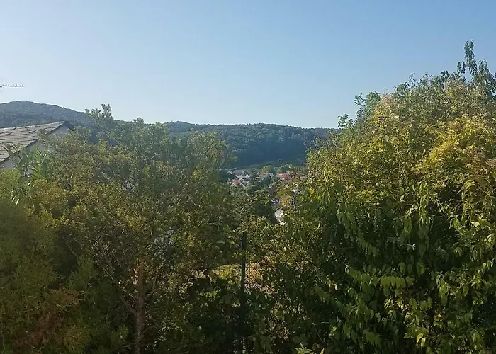 An Der Weinstrasse Oberotterbach