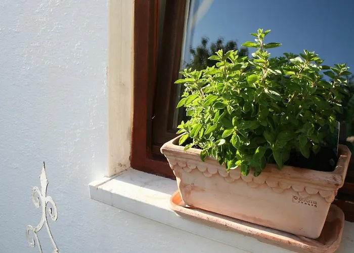 An Der Weinstrasse 公寓 Oberotterbach