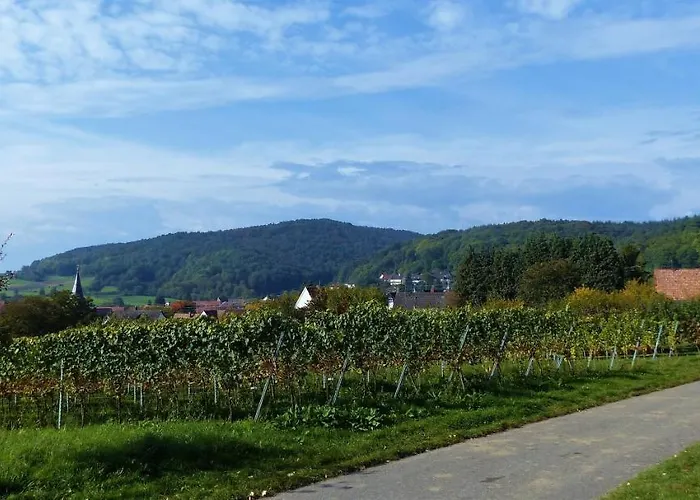 Lägenhet An Der Weinstrasse *